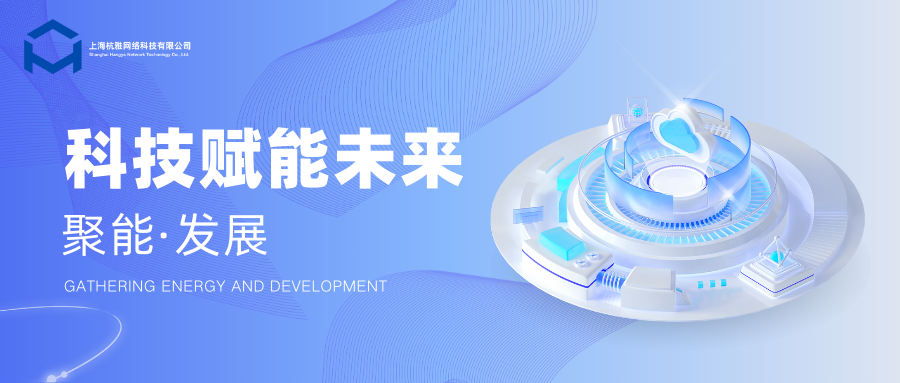 上海杭雅网络科技有限公司发表关于公司2025年重要战略发展计划